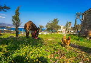 Panorama Villas Lasithi Greece