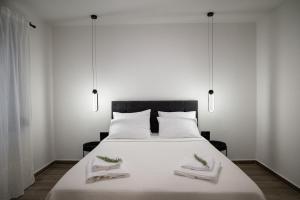 Athelio Boutique Entire Home, Private Courtyard, Outdoor Bar
