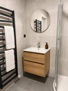 Veleslaveenka - Spacious Apartment in Pilsen Old Town