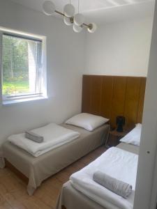 Pod świerkami