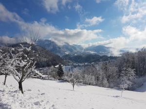 Turizem Pavlin Apartments