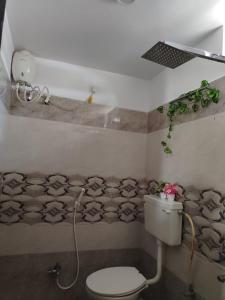 Iris Homestay