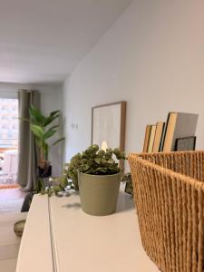 Charming studio with pool next to the beach