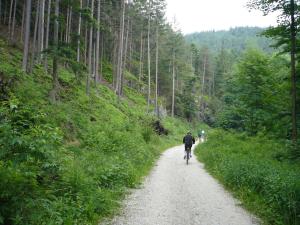 Srub Javorná - apartmány Šumava