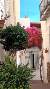 Casa María