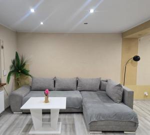 Apartament - Zdrojowy