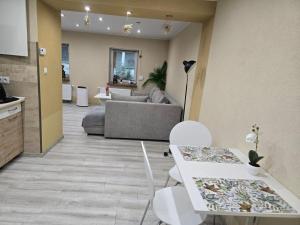 Apartament - Zdrojowy