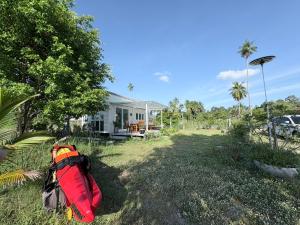 Tiny beach house- Coconut Garden With Free Row Boat