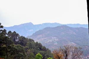 Emerald View Hillside TWO BHK Apartment