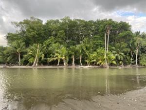 Studio confort Uvita