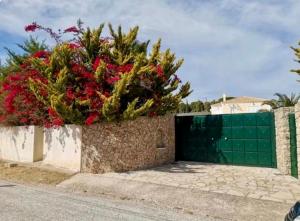 Natalies and Pauls House