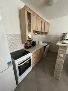 Apartment Petar
