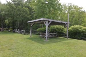 Pet-Friendly Big Bass Lake Family Cottage