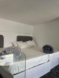 AB N204 Modern Duplex Studio with a Nile View