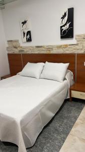 Hotel Termas Camino Real