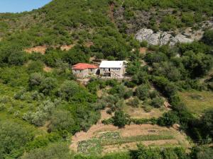 Mark Toma Guesthouse