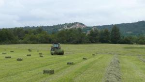 Maisons de vacances Les Bastides de l'Auviduery : photos des chambres