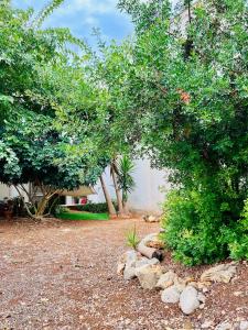 Sweet Home Toscana : vista mare