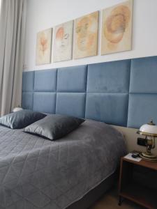 Cozy apartment in the heart of Prague