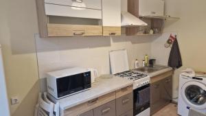 Apartment in the city center
