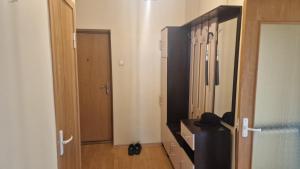 Apartment in the city center