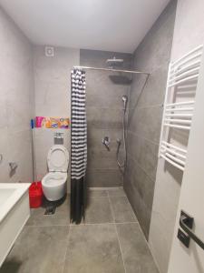 Apartment Andjela, city centre