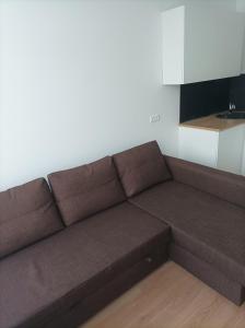 Zemaites Apartments Kedainiai