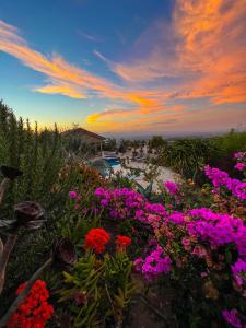 Hilltop View Sanctuary