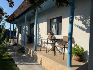 Casa lui Matei Murighiol#2