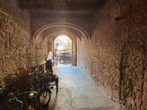 Bright Apartment with Stunning Views in the Heart of Lucca