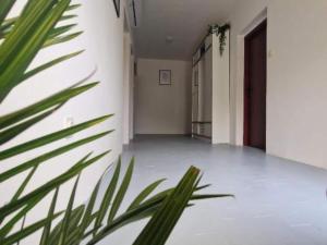 Three Bedroom Apartment With Balcony And Sea View