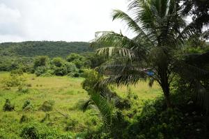 Tropical Charm by Boho- Forest View-Pool & Kitchen