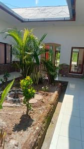 Aileen Guesthouse