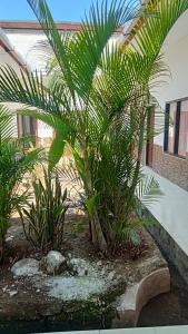 Aileen Guesthouse