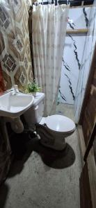 Turtle forest Cabine