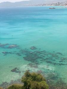 Beautiful Beach