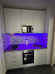 Studio Apartman Fodora