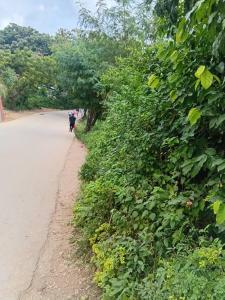 Kendwa Village House