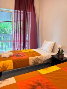 Orinoko Guest House