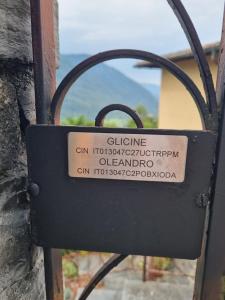 Glicine