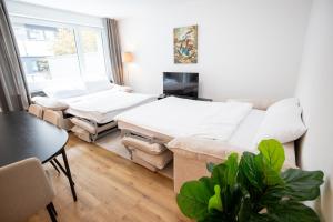Bright Newly Renovated Apartment with Balcony - Special WHITE RABBIT 11 Apartment, Basel, up to 6 guests