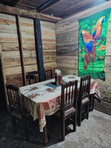 Colibrí