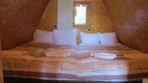 Rusaliite Adventure House