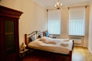 Apartment in Karlovy Vary - Delux