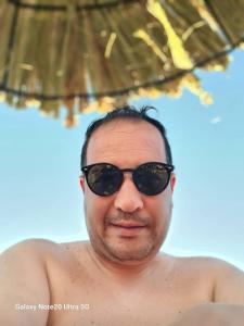 Riyadh palms
