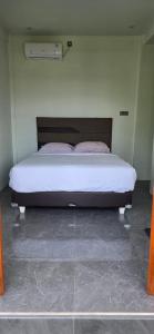 Sucis Friendly Apartments