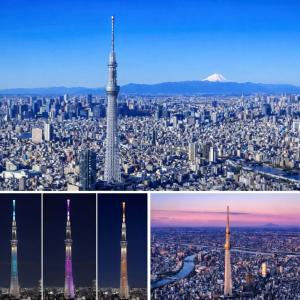 THE東京本格的な貸切日本伝統住宅の新体験!! 成田空港 羽田空港直通特急駅 貸切露天浴場 68インチ映画TV室 近スカイツリー 浅草上野銀座ディズニー 高速WiFi 長期割引 東京和屋AOTO