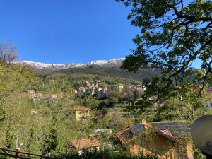 Hotel La Pineta