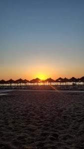 Playa Fuengirola a 50m del Mar