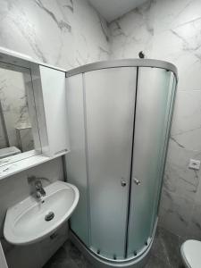 Comfort Olive Studio 65